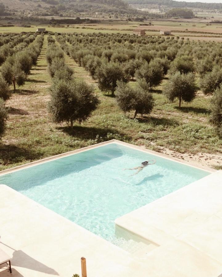 Agroturisme Gossalba Sant Joan Esterno foto