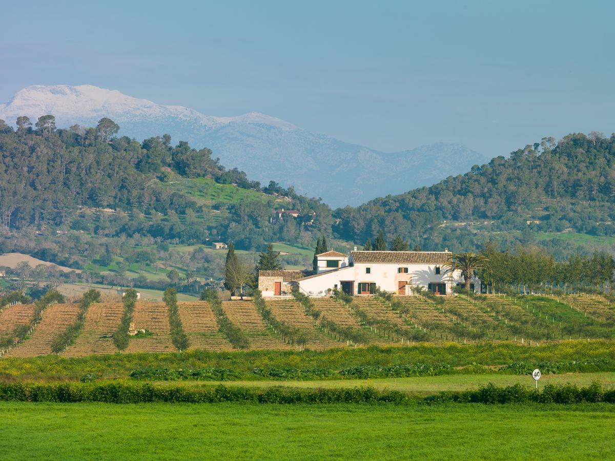Agroturisme Gossalba Sant Joan Esterno foto