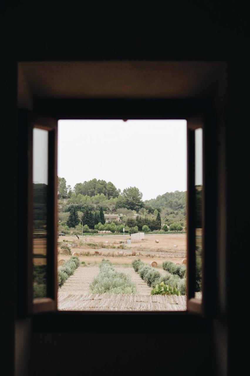 Agroturisme Gossalba Sant Joan Esterno foto